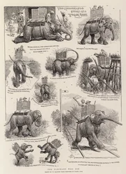 The Elephant Who Did